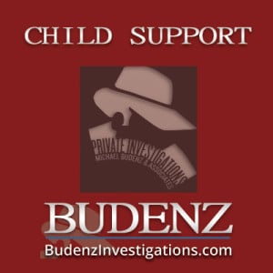skills-portfolio-card-image-budenz-private-detective-CHILD-SUPPORT