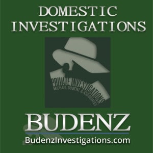 skills-portfolio-card-image-budenz-private-detective-DOMESTIC-INVESTIGATIONS